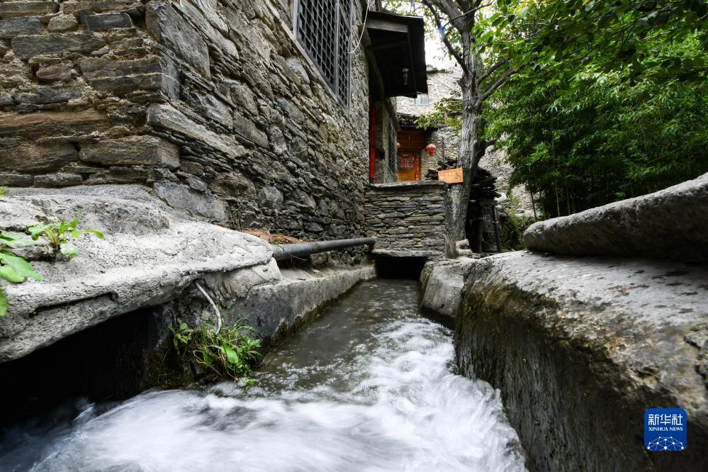 沈府棋牌有限公司